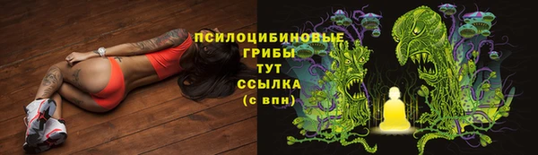 бутират Вяземский