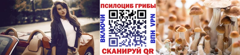 где купить наркотик Зеленокумск мега вход Псилоцибиновые грибы Cubensis